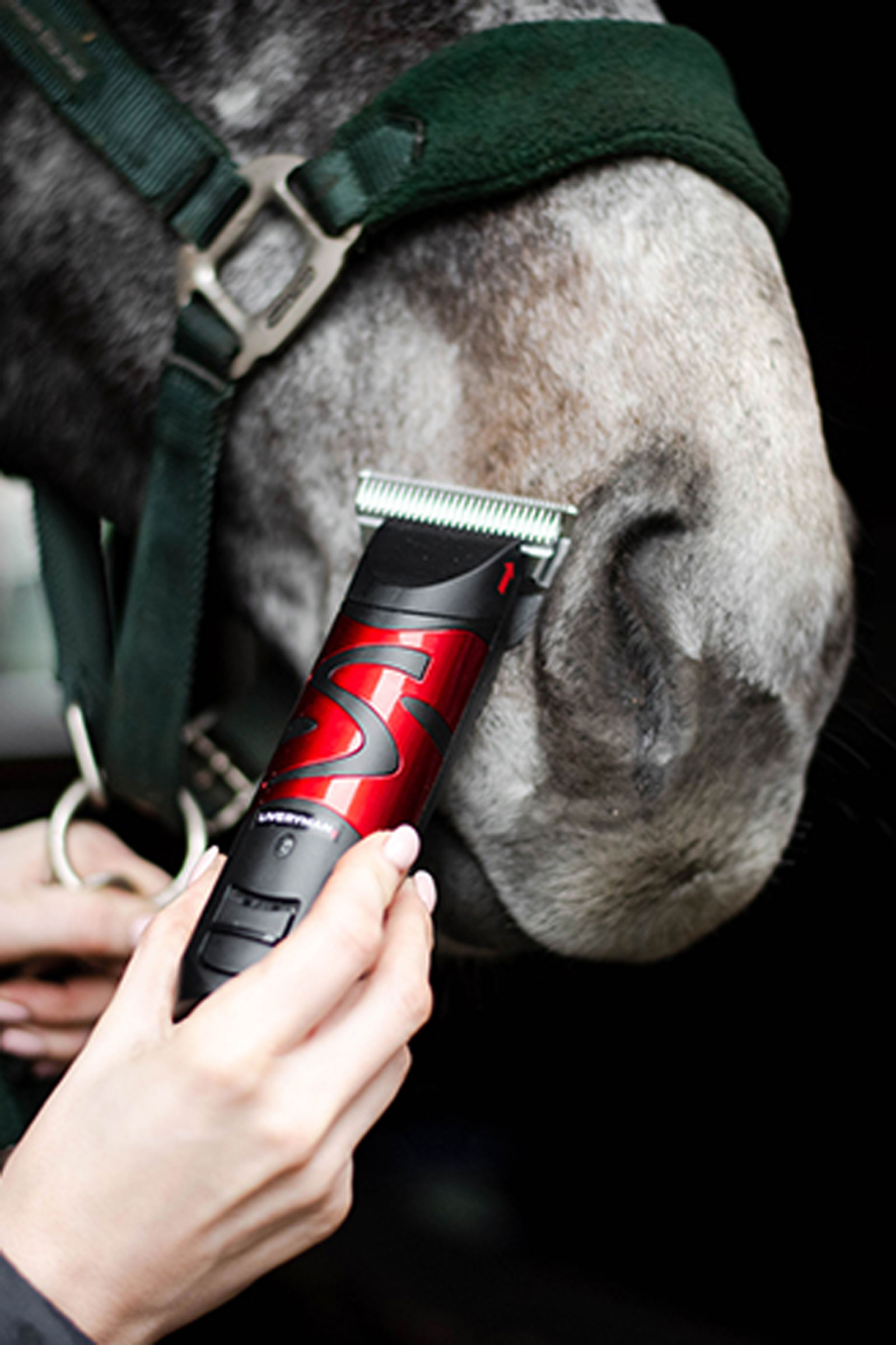 Liveryman Harmony Plus mit breiter, feiner Klinge, 1.5 mm