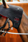 Horseware LED Rotlicht-Therapie Genickhaube