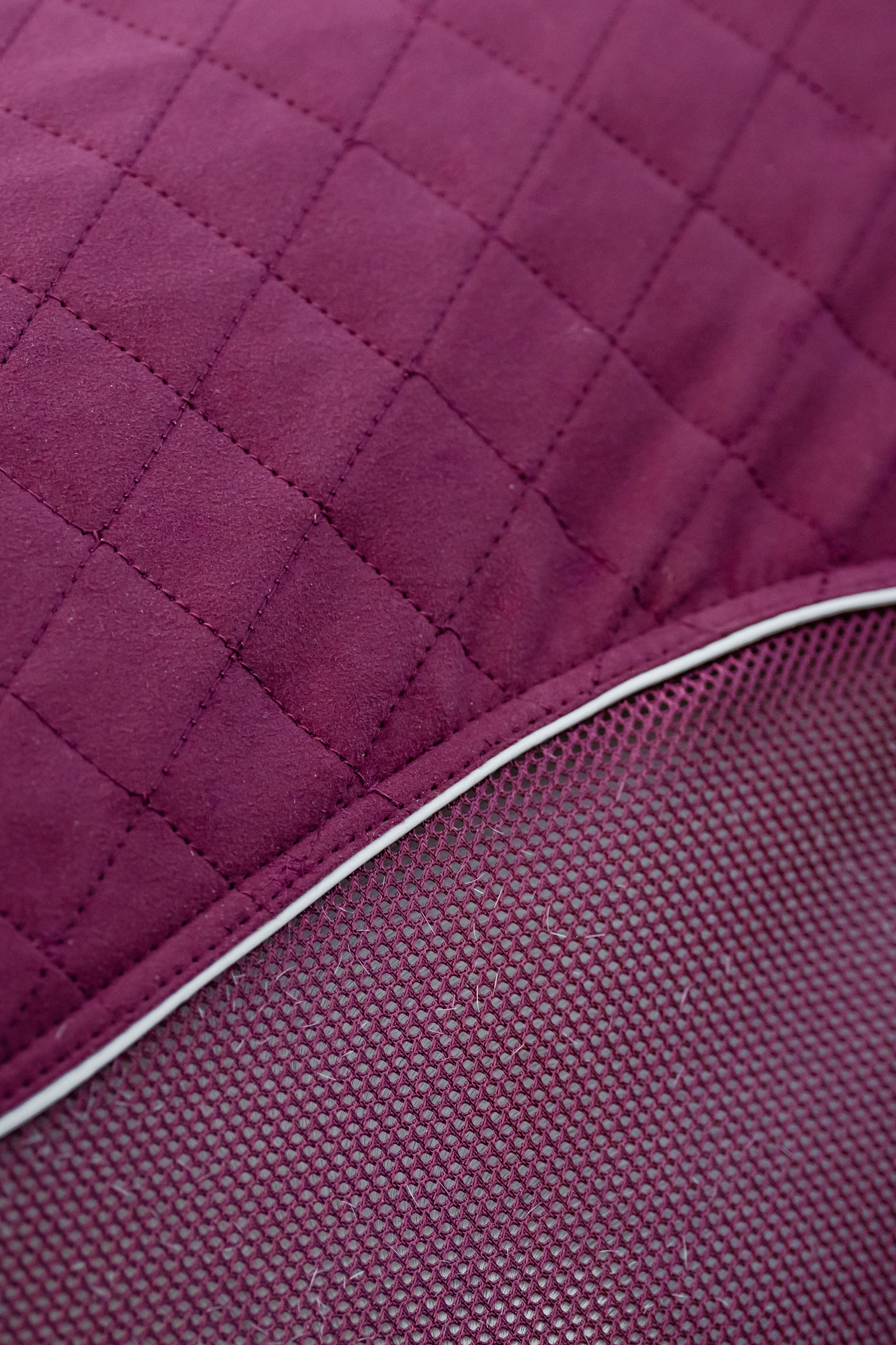 Horseware Signature Abschwitzdecke für den Transport