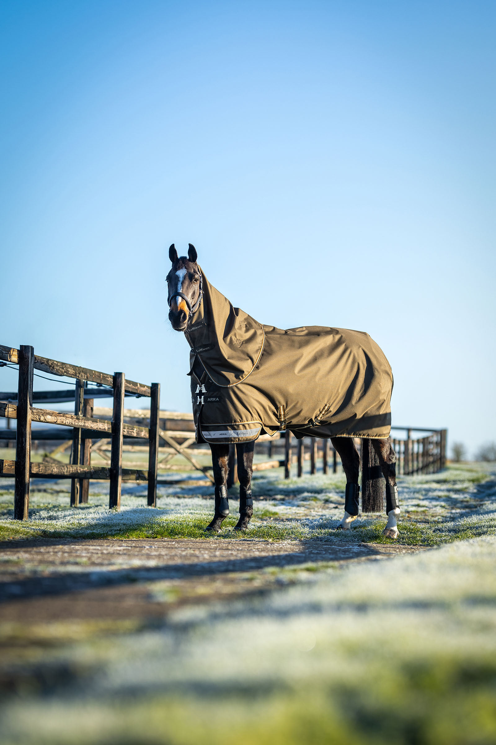 LeMieux Arika Ripstop Weidedecke mit abnehmbarem Halsteil, 100 g