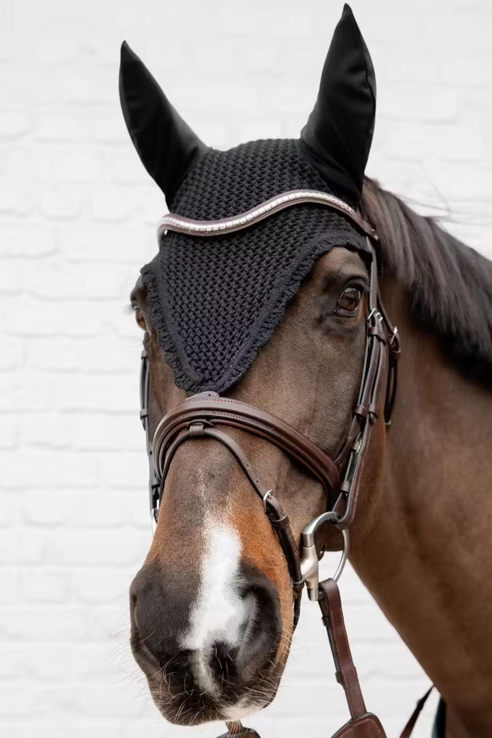 Kentucky lange Fliegenhaube, ger&auml;uschd&auml;mpfend  