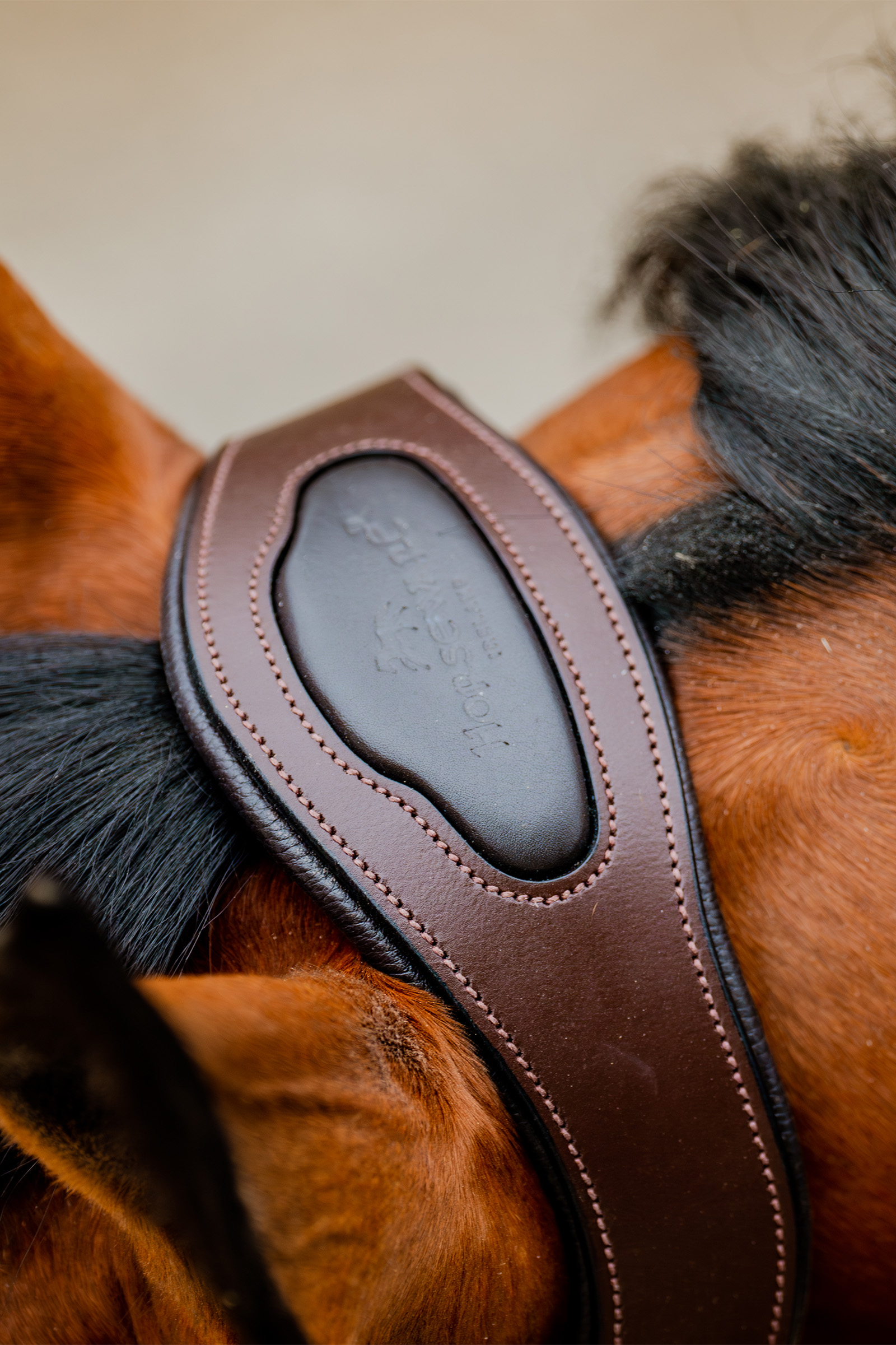 Horseware Signature Show Halfter