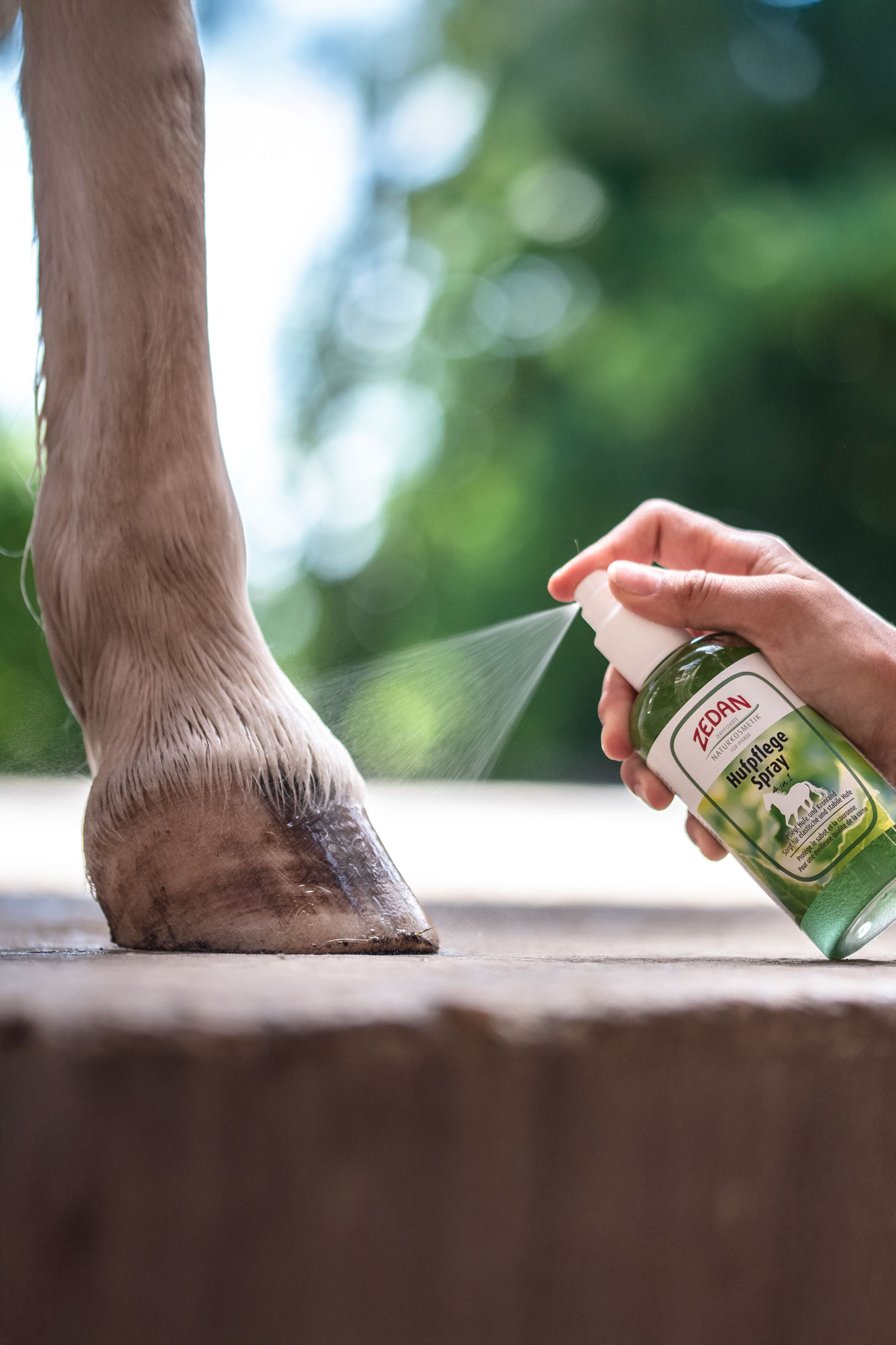 Zedan Hufpflege Spray 4 in 1, 275ml