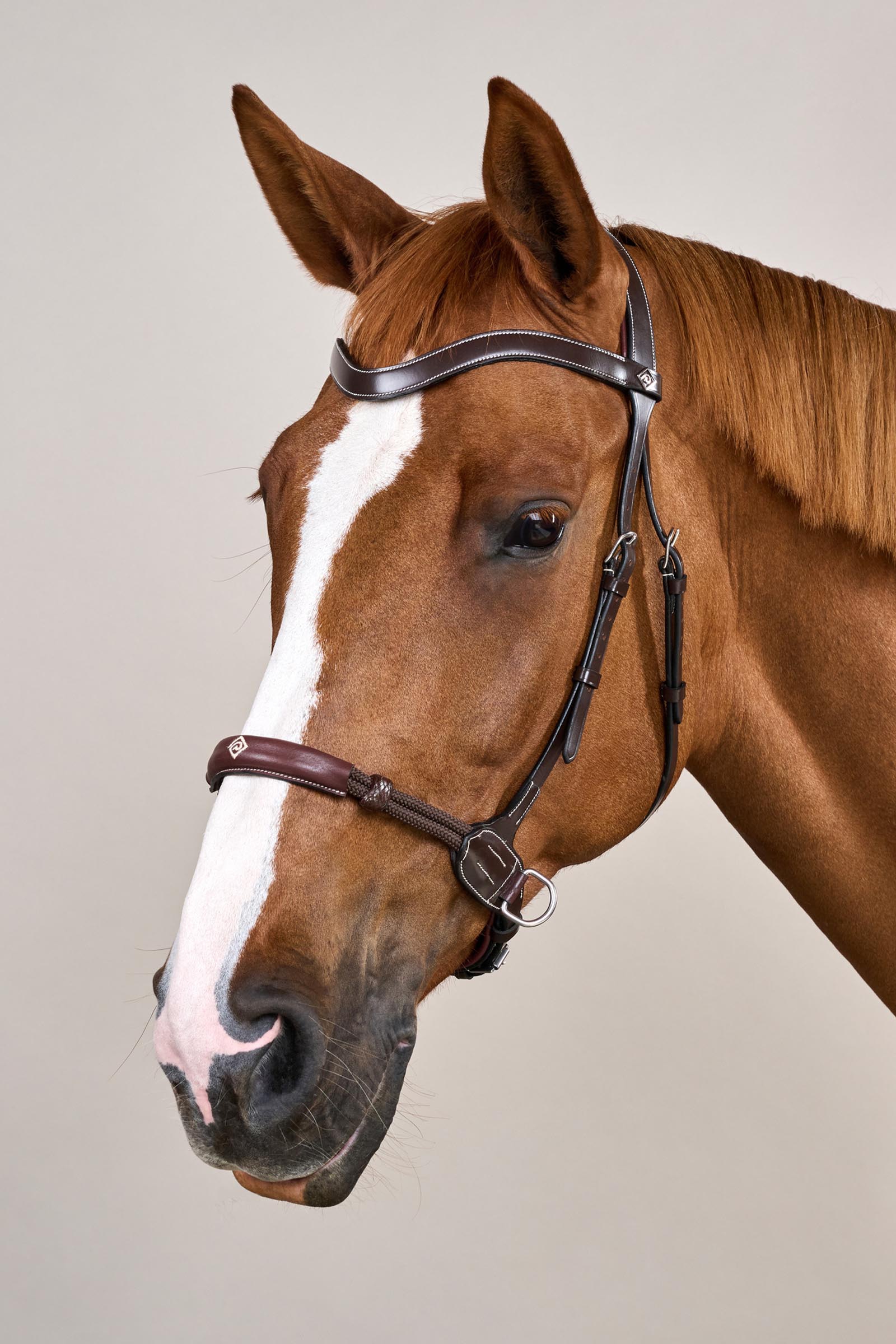 Dy'on Working gebisslose Trense  