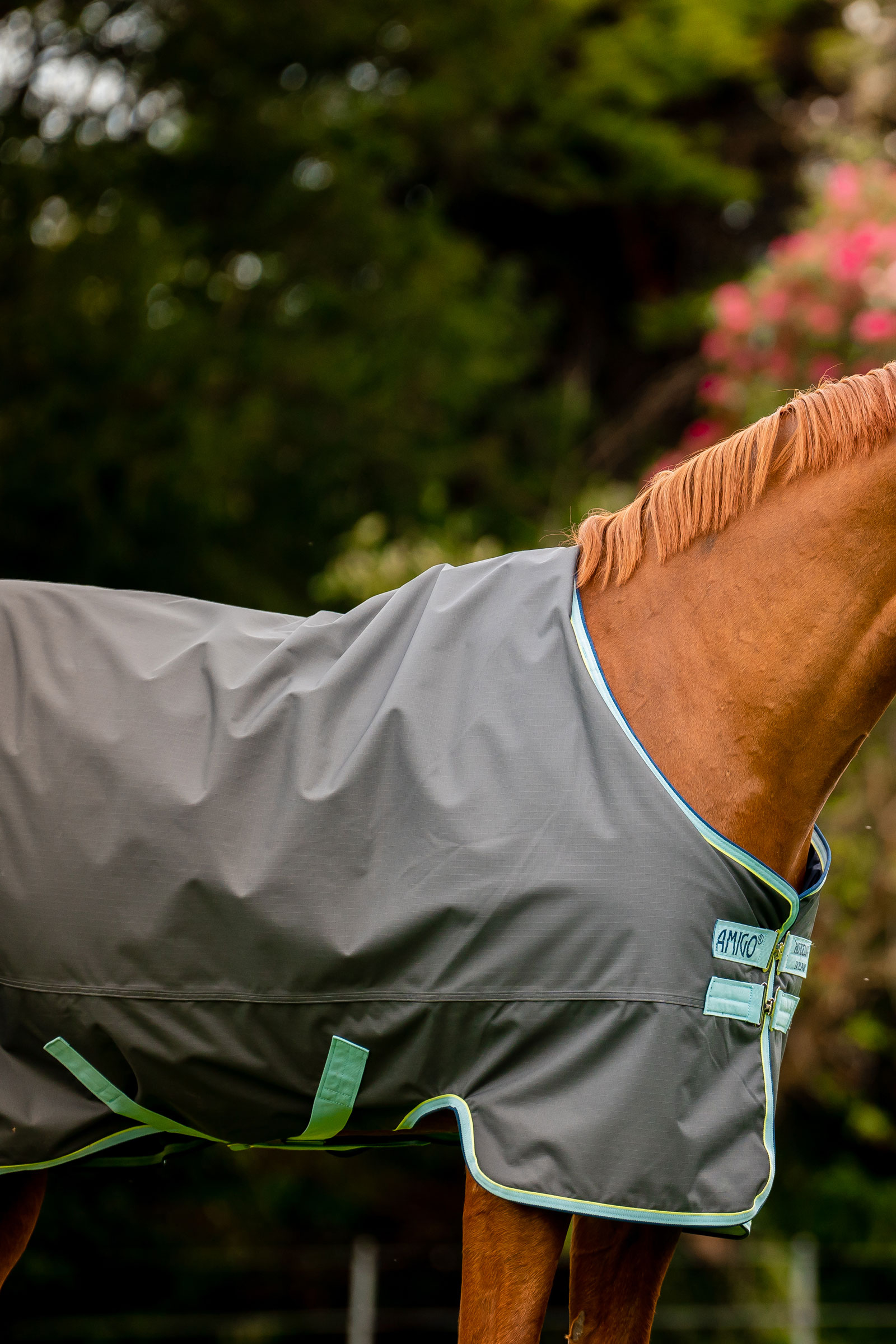 Horseware Amigo Hero Ripstop Plus Weidedecke mit abnehmbarem Hals, 200g