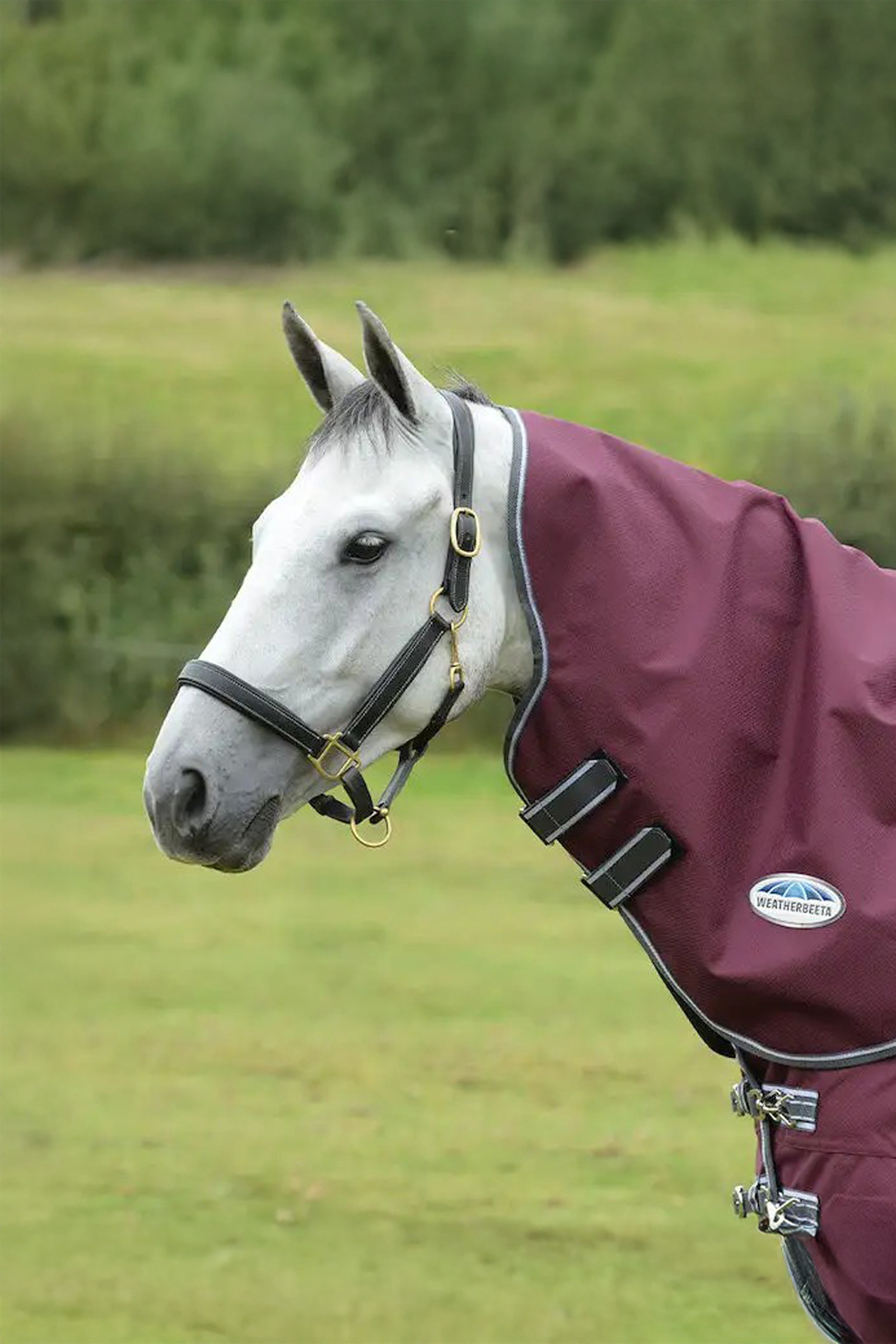 Weatherbeeta Comfitec Plus Dynamic II  Medium/Lite Halsteil, 100g