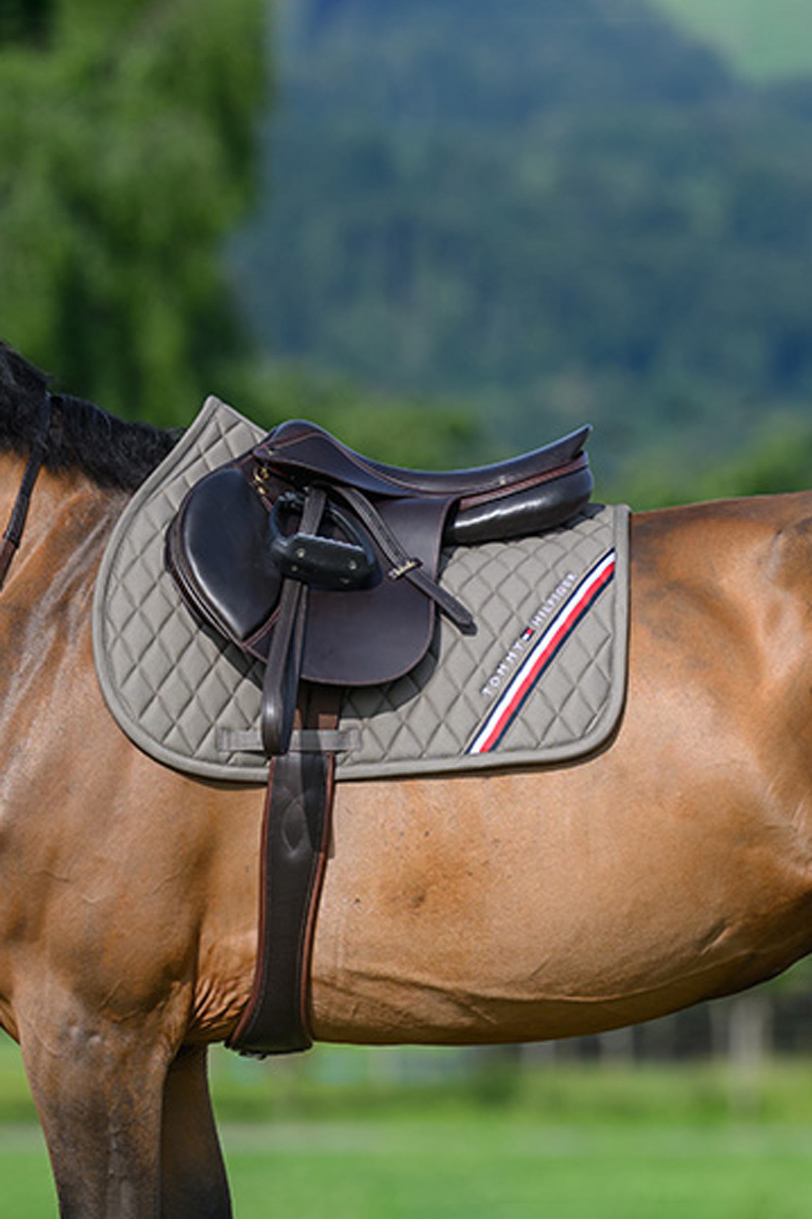 Ash Tommy Hilfiger Equestrian Stanford Springschabracke