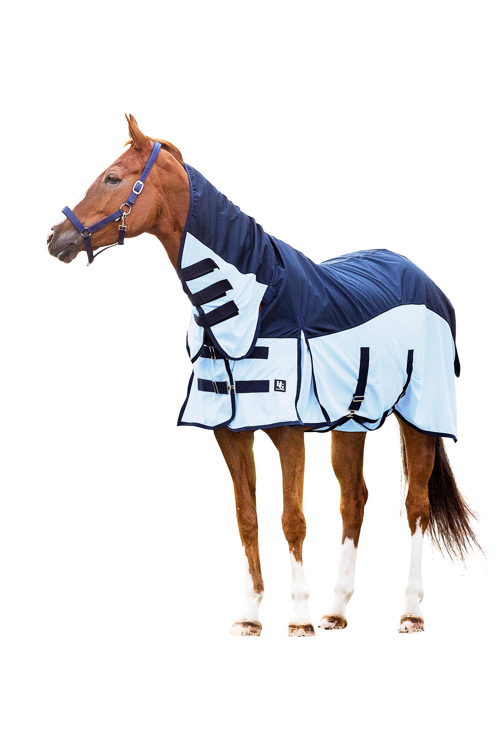 HorseGuard Aiman Regen-Fliegendecke