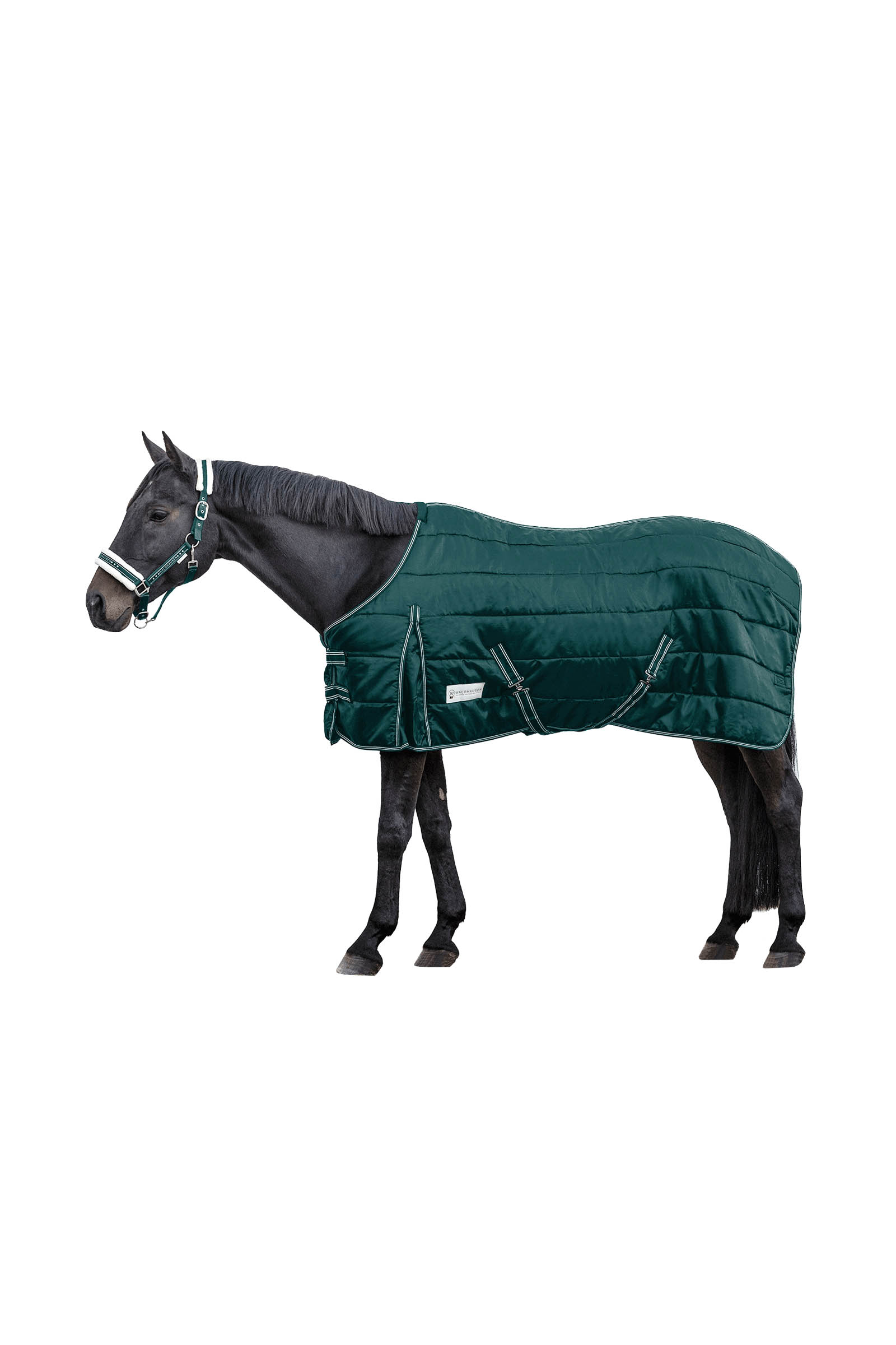 Fir Green Waldhausen Stable Rug Economic 300 g