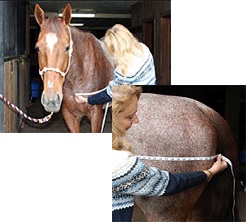 Festlegung der Deckengröße Festlegung der Deckengröße