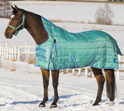 Eindecken in der Boxenhaltung Eindecken in der Boxenhaltung