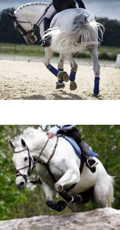 Beinschutz Beinschutz